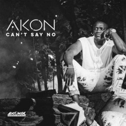 Akon - Cant Say No